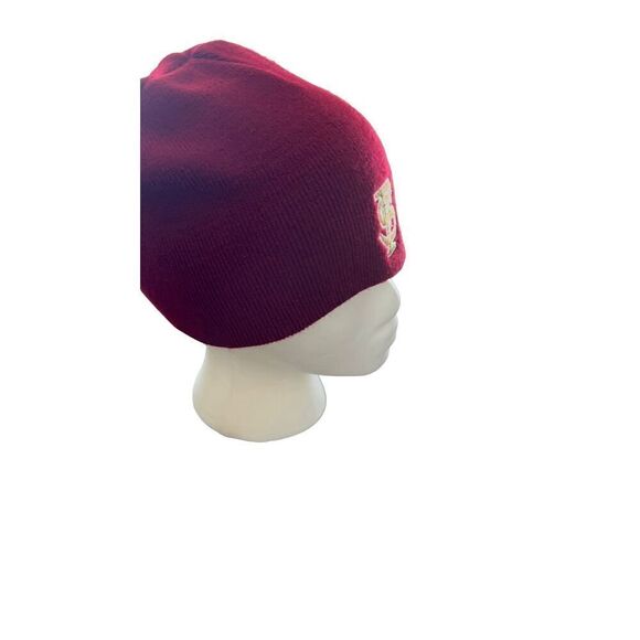 Florida State University FSU Logo embroidered beanie hat - Picture 12 of 14
